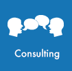 Consulting